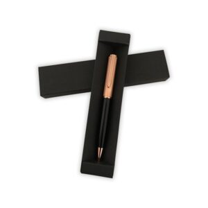 16033-Caneta Com estojo