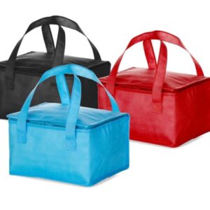 93058-BOLSA TÉRMICA 10 LITROS