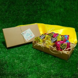 KDC-22-Kit Personalizado