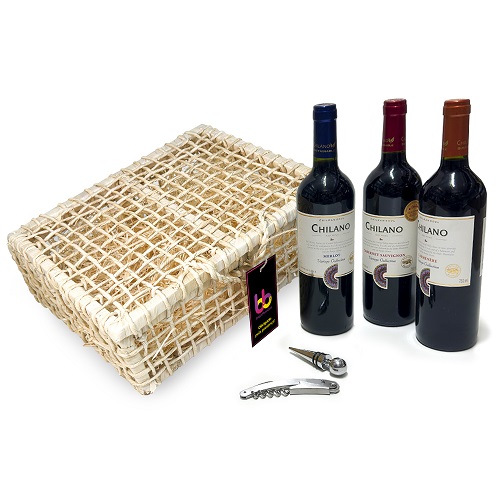 85054-Kit Vinho com 3 garrafas e acessórios