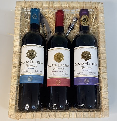 85061-Kit Vinho 3 vinhos na bandeja