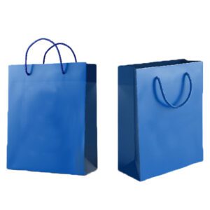 95135-Sacola de Papel