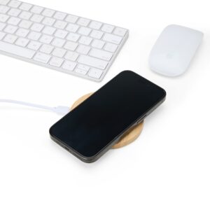 46096-Carregador via Indução