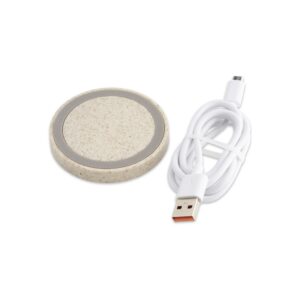 46077-Carregador via Indução